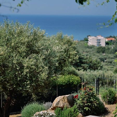 Villa Aiolos Alexandroupolis Exteriör bild